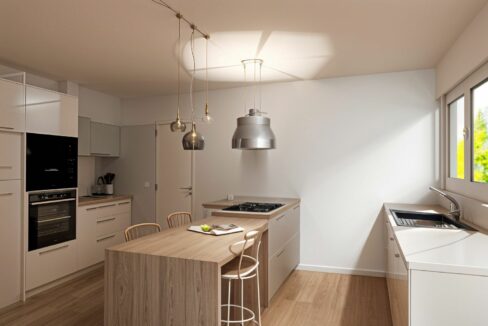 CUISINE AX12V1