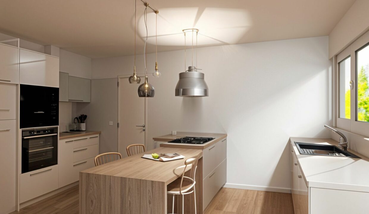 CUISINE AX12V1